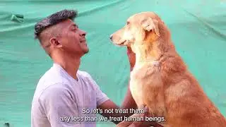 Actor Shalini Pandey Stars in New PETA India Pro-Adoption Campaign