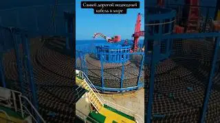 Самый дорогой подводный кабель в мире #viral #2026 #technology #новости