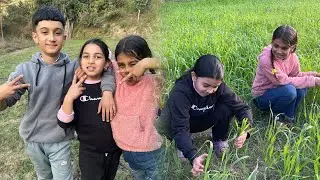 🏡 ♥️गाउँको घर | मस्ती र रमाइलो | My Village - part 2