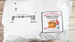 Mini Monthly Dog Box of Awesome March 2017 Unboxing &ndash; Only $10