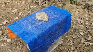 Mình lại gặp một chuyện hi hĩu và cách sử lý