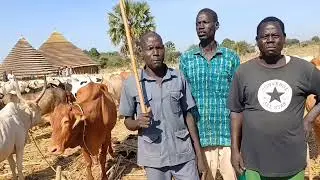 Dinka Man Chanting praising his Red ox(malual)
