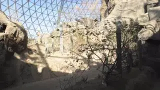 World's Largest Glazed Geodesic Dome and Indoor Desert at the Henry Doorly Zoo