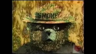 Smokey The Bear | PSA | 1996