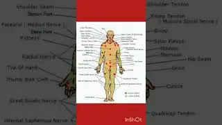 31 death points in our body//#viralvideo #shorts knowledge