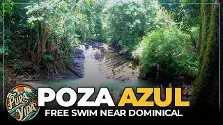 [4K] POZA AZUL // Tour This Awesome FREE Waterfall Close To Dominical #travelvlog #tourism
