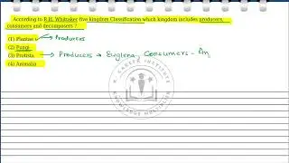 According to R.H. Whittaker five kingdom Classification which kingdom includes producers