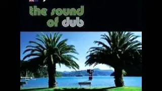 Nomad & Mad Professor - Check The Pitch