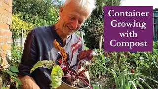 Results by Autumn, pot-grown squash chillies tomato beetroot leeks