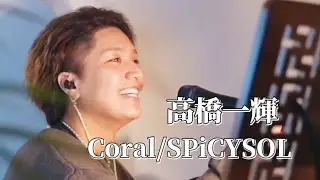 〖高橋一輝〗Coral/SPiCYSOL(up-tempo ver.)2024.12.17 TikTokLIVE