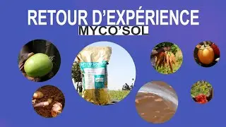 MYCO'SOL, BIEN PLUS QU'UN AM&Eacute;LIORATEUR DE SOL 😉🌱