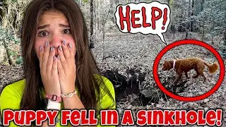 My Dog Fell In A GIANT HOLE!