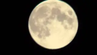 The moon x81