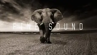 Deep Cinematic Rumble - Patrick Lieberkind (No Copyright Music)