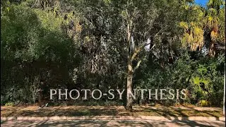 Photo-synthesis (AICE Media Studies AS Level film opening)