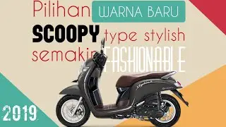 Honda Scoopy Stylish | Warna Baru 2019