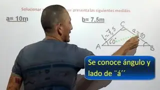 Ley del seno