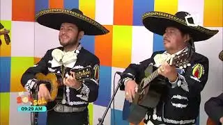 Mariachi Internacinal Guadalupano  llamarada Luis Miguel