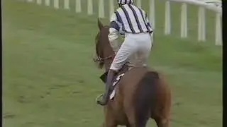 1990 Arkle Challenge Trophy Novices Chase - Cheltenham 13-03-1990