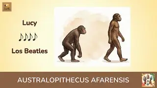 AUSTRALOPITECUS AFARENSIS: LUCY, LA ABUELA DE LA HUMANIDAD