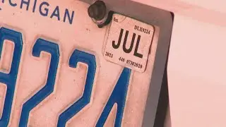 Michigan state lawmaker wants to do away with 'pesky' license plate tabs