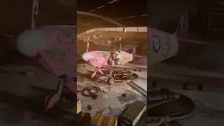 Why British Painted Their Planes 💗