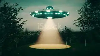 Top 5 Bizarre Stories from Around the World