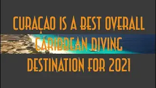 Cura&ccedil;ao is a Best Overall Caribbean Diving Destination for 2021 | Dive Travel Curacao