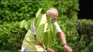 PM Narendra Modiplanted a Kadamb sapling at his residence, 7 Lok Kalyan Marg.  