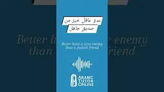 MSA Proverb: عدوٌ عاقلٌ خيرٌ منْ صديقٍ جاهل - Better have a wise enemy than a foolish friend