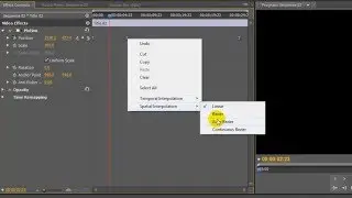 Quick Tutorials - Animate objects in Premiere & After Effects, Keyframes basics for beginners