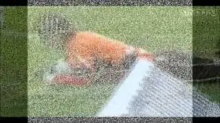top 10 wpadek bramkarzy/top 10 goalkeeper fails