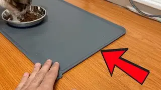 Reopet Waterproof Pet Food Mat (Honest Thoughts + Review)