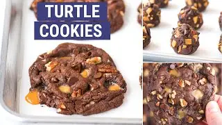 Turtle Cookies
