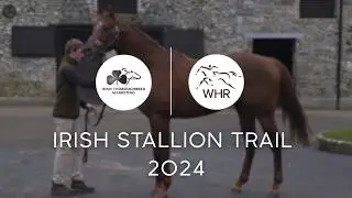 Irish Stallion Trail 2024 | World Horse Racing & ITM | Agility Films