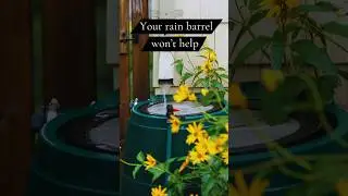 Rain barrels are for water conservation, not stormwater management! #climatechange #landscaping