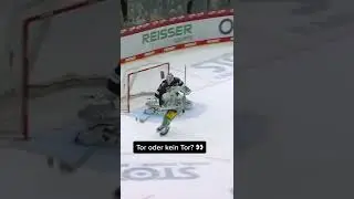 Aufreger 🚨 Regul&auml;r oder irregul&auml;r?! 🤔