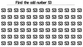 Can You Spot 53 Before Time Runs Out