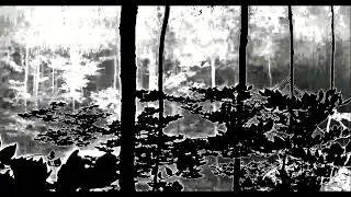 The discerned conversation