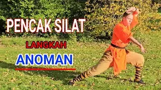 Pencak Silat Form - Anoman Langkah | Setia Hati 赛提亚哈提 by Wesley Broekhuis Apeldoorn