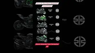 Kawasaki Superbikes Launch Control Sounds 🔥 #z900 #ninjazx14r #ninjazx10r #ninjah2r #ninjah2 #shorts