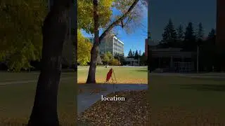 Beautiful spot #canada #edmonton #traveldestinations #exploreedmonton