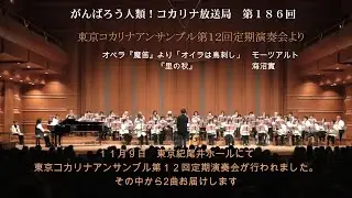 がんばろう！人類[コカリナ放送局-Kocarina Broadcaster-]　第186回#コカリナ#オイラは鳥刺し#里の秋