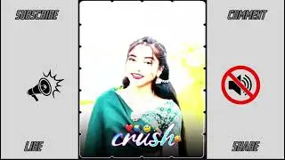 Mr nilesh editor 🥰 |alight motion video editing 👑 | adivasi video editing | pyar wali pepsi 😘|