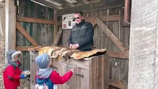 🇰🇷Trip to Maple Farm🇨🇦