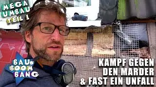Marder bekämpfen! Braucht man dazu ein neues Dach?