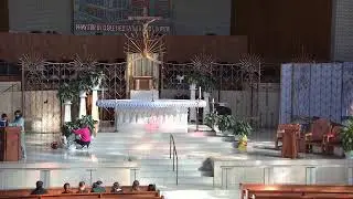 Catholic Mass from St. Dominic New Orleans, LA, USA