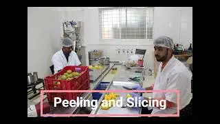 BESST -HORT:Conversion of 15t Mangoes of AP farmer  to Mango OD  Product during July 2025