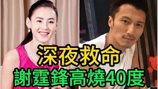 謝霆鋒高燒40度命懸一線！王菲失聯，張柏芝深夜破門救命？一碗白粥讓他悔恨痛哭！#謝霆鋒#張柏芝#王菲#Lucas#Quintus#謝霆鋒生病#豪門恩怨#鋒芝戀#鋒菲戀#單親媽媽#娛樂圈內幕#世紀複合