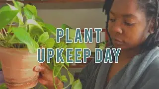 Tending to my plants on this snow storm day.